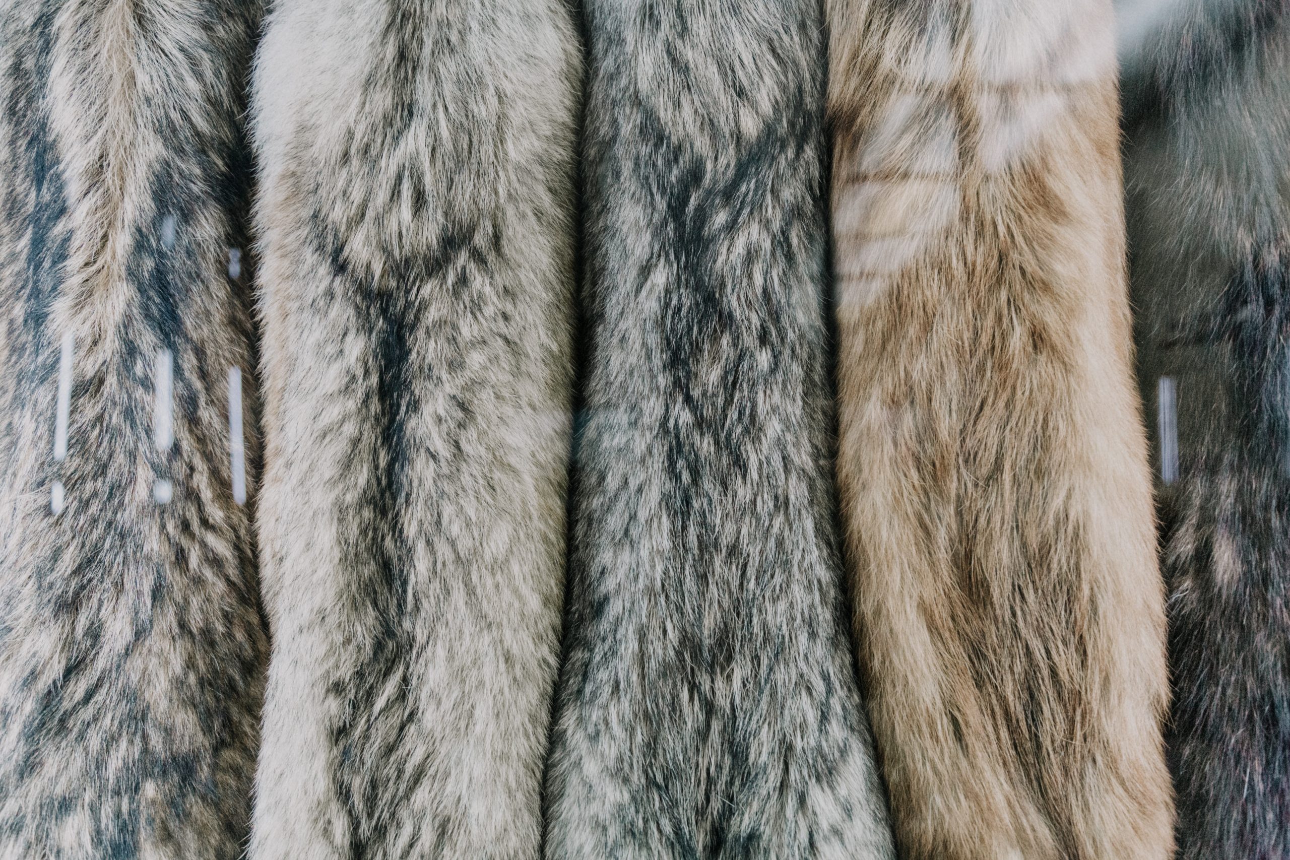 fake fur modelexikon beitragsbild